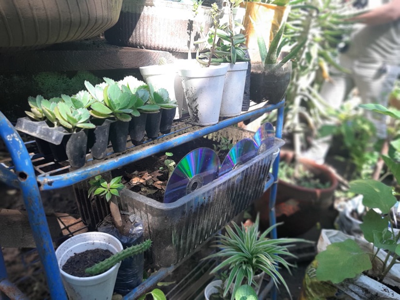 PATIO1